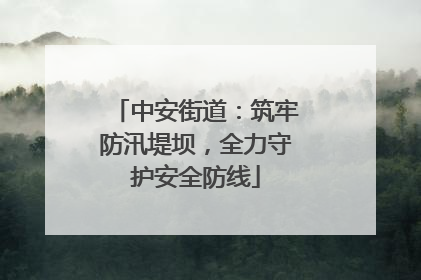 中安街道：筑牢防汛堤坝，全力守护安全防线