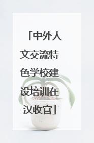 中外人文交流特色学校建设培训在汉收官