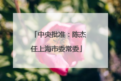 中央批准：陈杰任上海市委常委