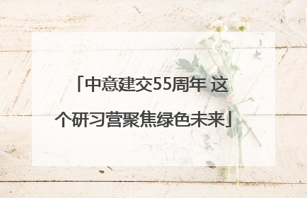 中意建交55周年 这个研习营聚焦绿色未来