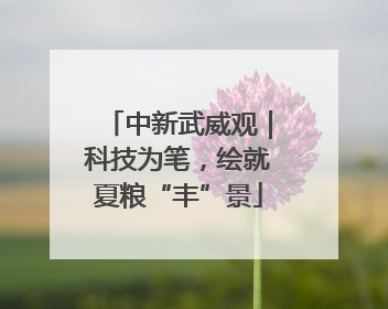 中新武威观｜科技为笔，绘就夏粮“丰”景