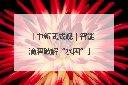 中新武威观｜智能滴灌破解“水困”