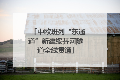 中欧班列“东通道”新建绥芬河隧道全线贯通