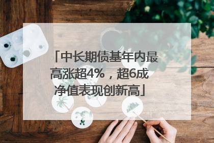 中长期债基年内最高涨超4%，超6成净值表现创新高