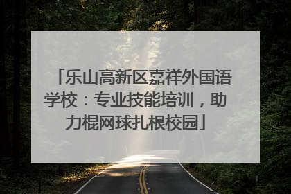 乐山高新区嘉祥外国语学校：专业技能培训，助力棍网球扎根校园