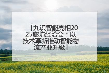 九识智能亮相2025廊坊经洽会：以技术革新推动智能物流产业升级