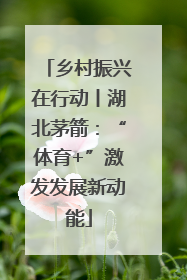 乡村振兴在行动丨湖北茅箭：“体育+”激发发展新动能