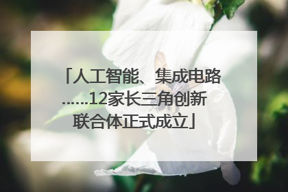 人工智能、集成电路……12家长三角创新联合体正式成立
