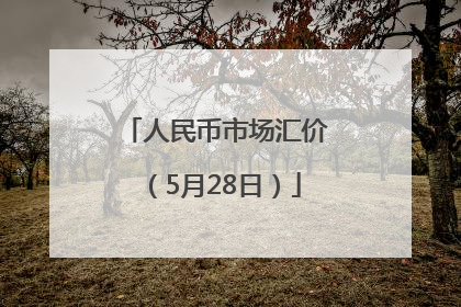 人民币市场汇价（5月28日）