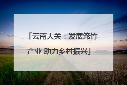 云南大关：发展筇竹产业 助力乡村振兴