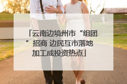 云南边境州市“组团”招商 边民互市落地加工成投资热点