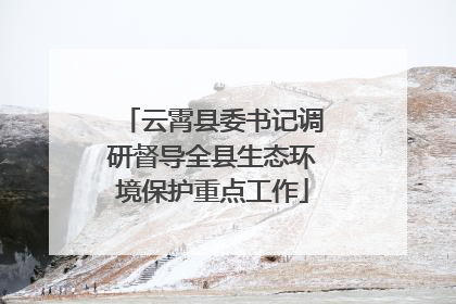 云霄县委书记调研督导全县生态环境保护重点工作