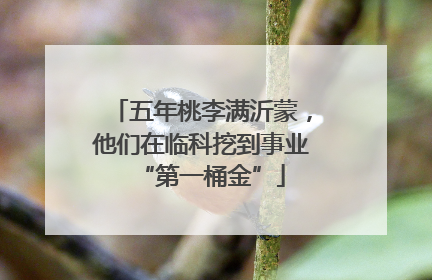 五年桃李满沂蒙，他们在临科挖到事业“第一桶金”