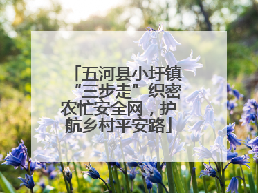 五河县小圩镇“三步走”织密农忙安全网，护航乡村平安路