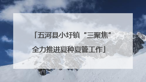 五河县小圩镇“三聚焦”全力推进夏种夏管工作