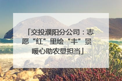 交投濮阳分公司：志愿“红”里绘“丰”景 暖心助农显担当