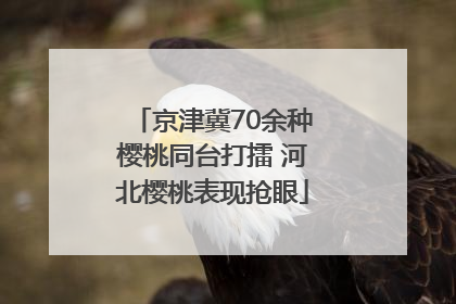 京津冀70余种樱桃同台打擂 河北樱桃表现抢眼