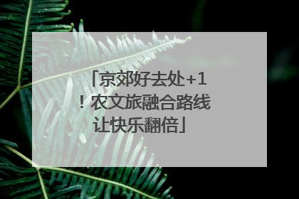 京郊好去处+1！农文旅融合路线让快乐翻倍