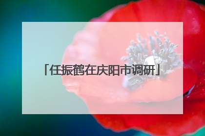 任振鹤在庆阳市调研