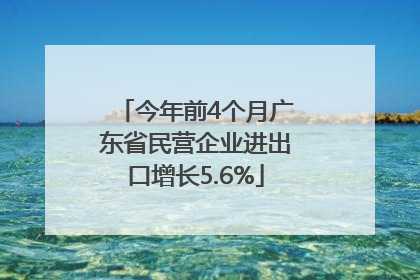 今年前4个月广东省民营企业进出口增长5.6%