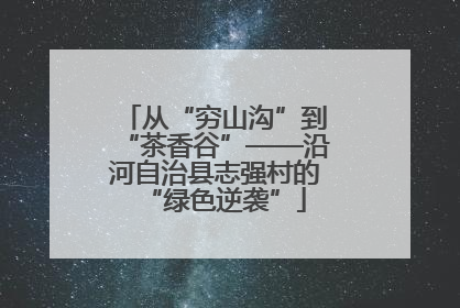 从“穷山沟”到“茶香谷”——沿河自治县志强村的“绿色逆袭”