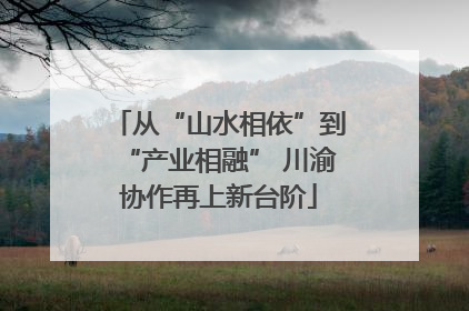 从“山水相依”到“产业相融” 川渝协作再上新台阶