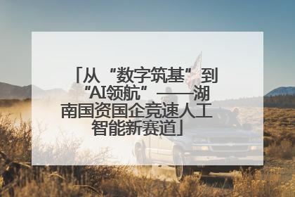从“数字筑基”到“AI领航”——湖南国资国企竞速人工智能新赛道