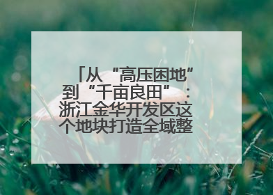 从“高压困地”到“千亩良田”：浙江金华开发区这个地块打造全域整治示范样本