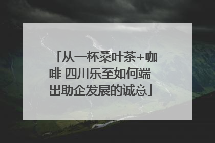 从一杯桑叶茶+咖啡 四川乐至如何端出助企发展的诚意