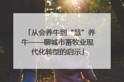 从会养牛到“慧”养牛——聊城市畜牧业现代化转型的启示
