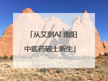 从艾到AI 南阳中医药破土新生