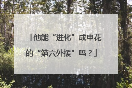 他能“进化”成申花的“第六外援”吗？