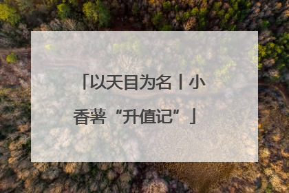 以天目为名丨小香薯“升值记”