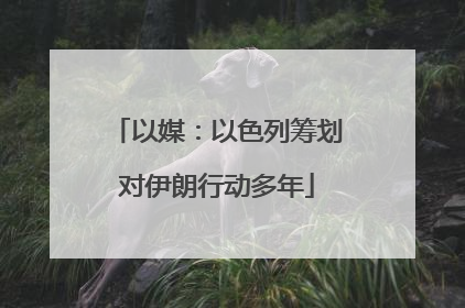 以媒：以色列筹划对伊朗行动多年