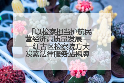 以检察担当护航民营经济高质量发展——红古区检察院方大炭素法律服务站揭牌彰显法治护航深度