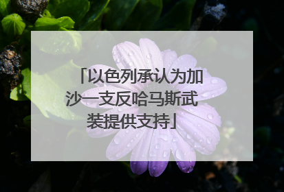 以色列承认为加沙一支反哈马斯武装提供支持