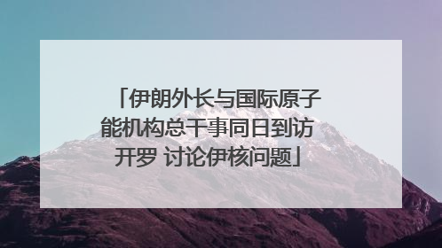 伊朗外长与国际原子能机构总干事同日到访开罗 讨论伊核问题