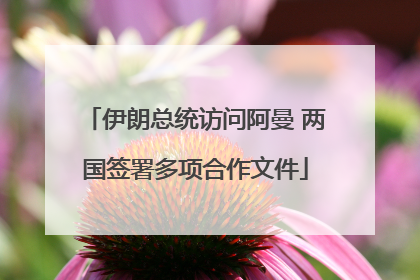 伊朗总统访问阿曼 两国签署多项合作文件