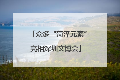众多“菏泽元素”亮相深圳文博会