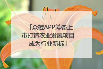 众橙APP筹备上市打造农业发展项目成为行业新标