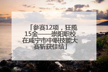 参赛12项，狂揽15金——崇阳职校在咸宁市中职技能大赛斩获佳绩