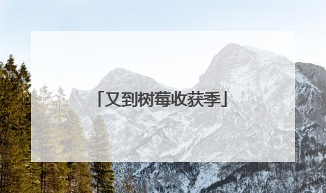 又到树莓收获季
