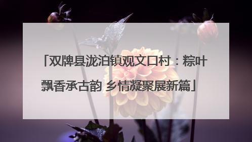 双牌县泷泊镇观文口村：粽叶飘香承古韵 乡情凝聚展新篇