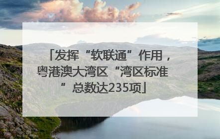发挥“软联通”作用，粤港澳大湾区“湾区标准”总数达235项