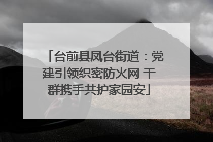 台前县凤台街道：党建引领织密防火网 干群携手共护家园安
