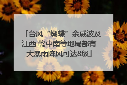 台风“蝴蝶”余威波及江西 赣中南等地局部有大暴雨阵风可达8级