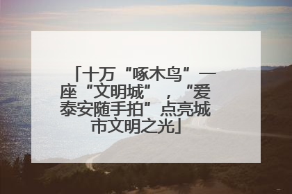 十万“啄木鸟”一座“文明城”，“爱泰安随手拍”点亮城市文明之光