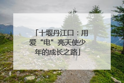 十堰丹江口：用爱“电”亮天使少年的成长之路