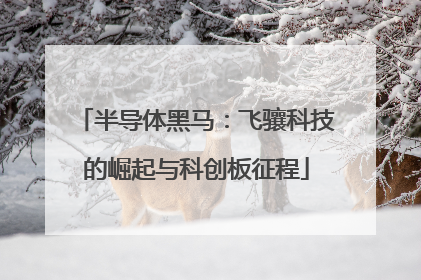 半导体黑马：飞骧科技的崛起与科创板征程