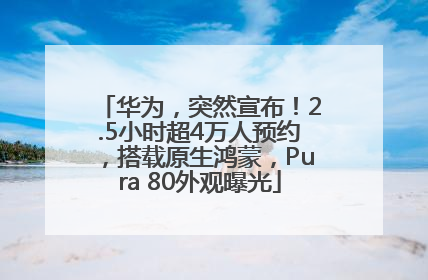 华为，突然宣布！2.5小时超4万人预约，搭载原生鸿蒙，Pura 80外观曝光